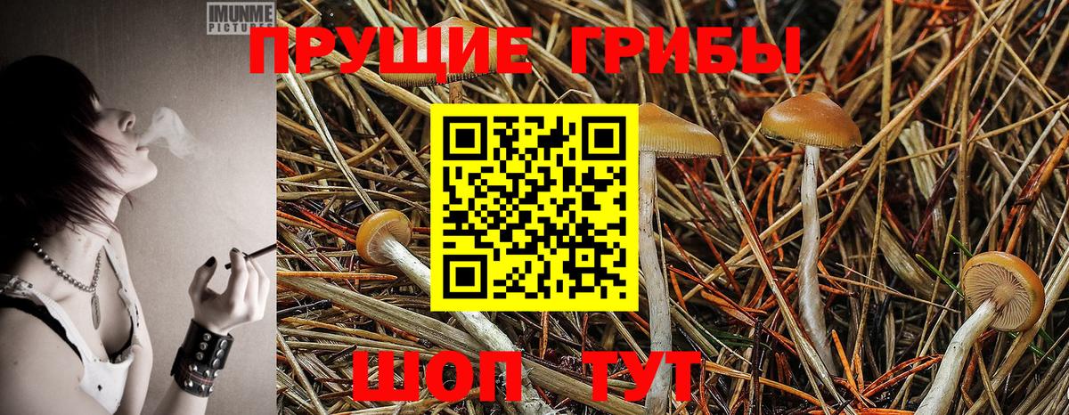 Галлюциногенные грибы мицелий Туймазы