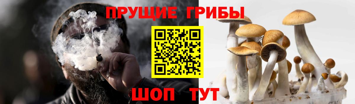 Галлюциногенные грибы MAGIC MUSHROOMS  Вход с VPN  Туймазы 